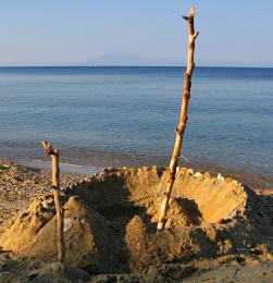 Driftwoodcastle