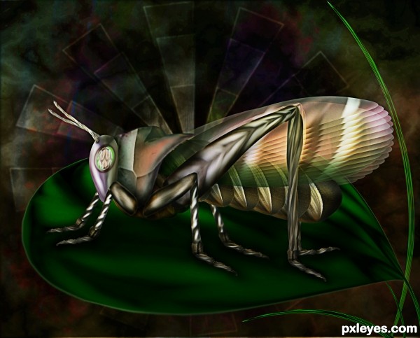 Bug photoshop picture