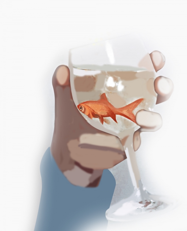 Creation of What's in the drink?: Step 3