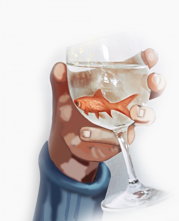 Creation of What's in the drink?: Step 4