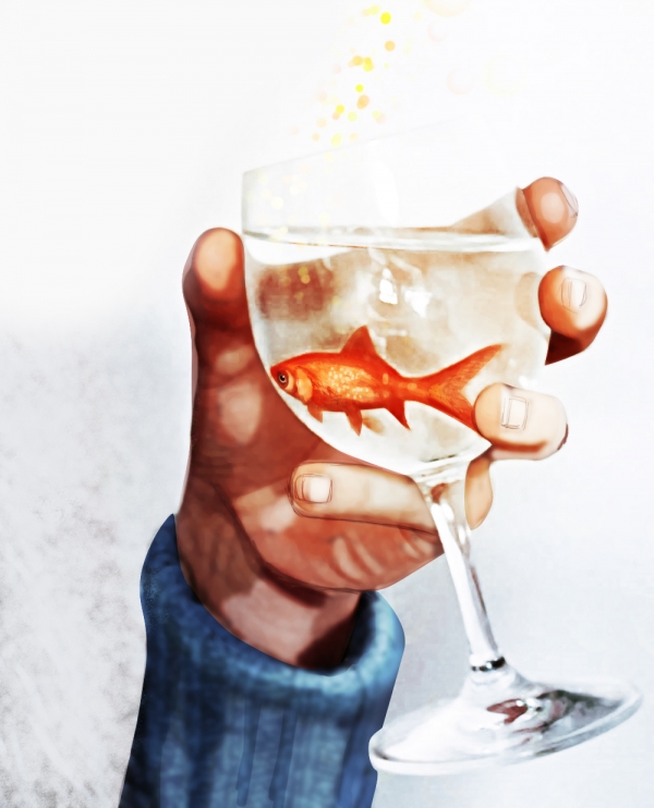 Creation of What's in the drink?: Step 5
