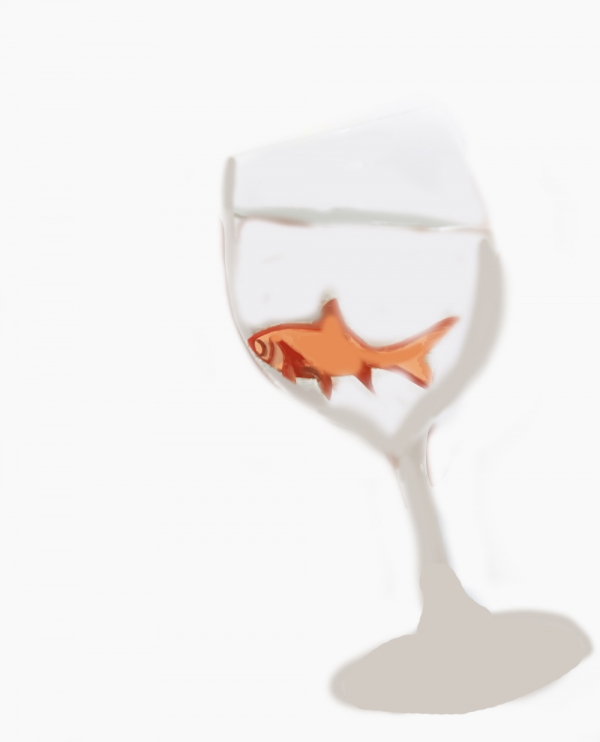Creation of What's in the drink?: Step 2