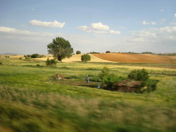 On a train to Cuenca