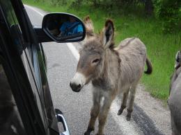 CusterStatePark