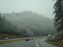 Misty Mountain Morning