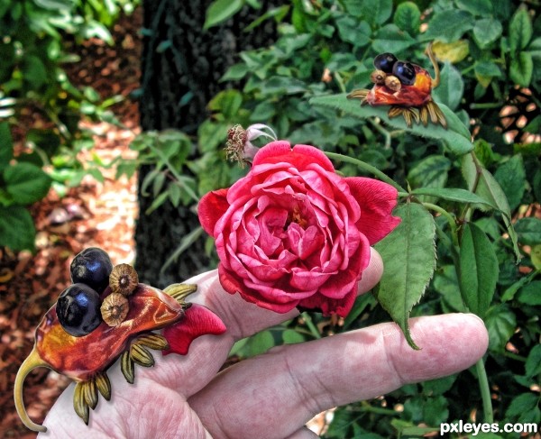 Rose Petal Nibblers