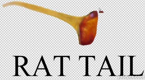 Creation of The Wood Stalker!!!: Step 15