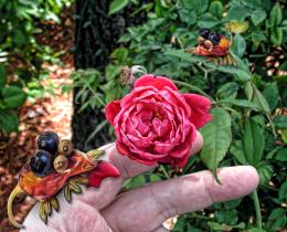 Rose Petal Nibblers