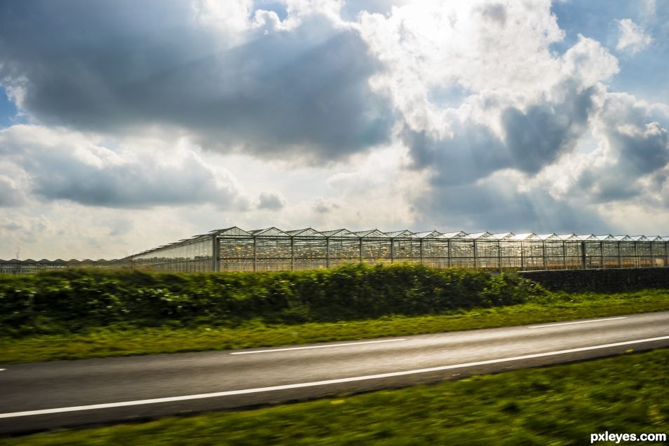 Driving along the greenhouse