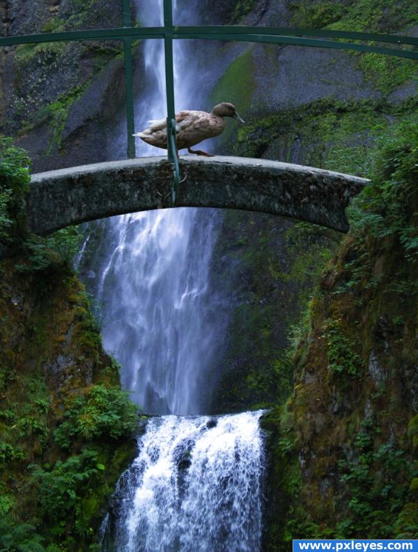 Crossing the Waterfall. 