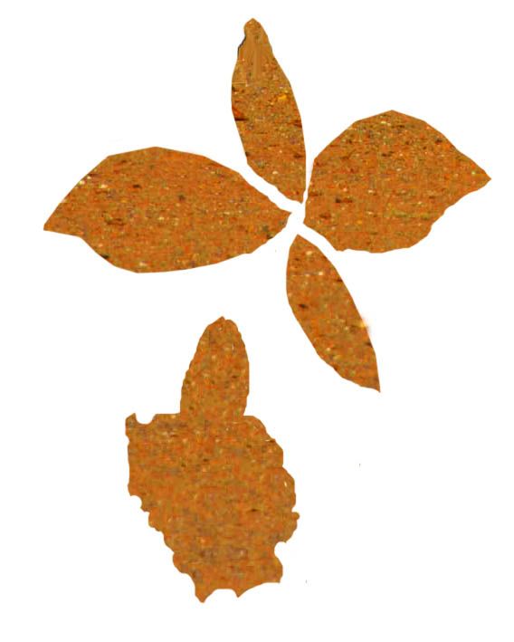 Creation of CAN it be Orchids???: Step 13