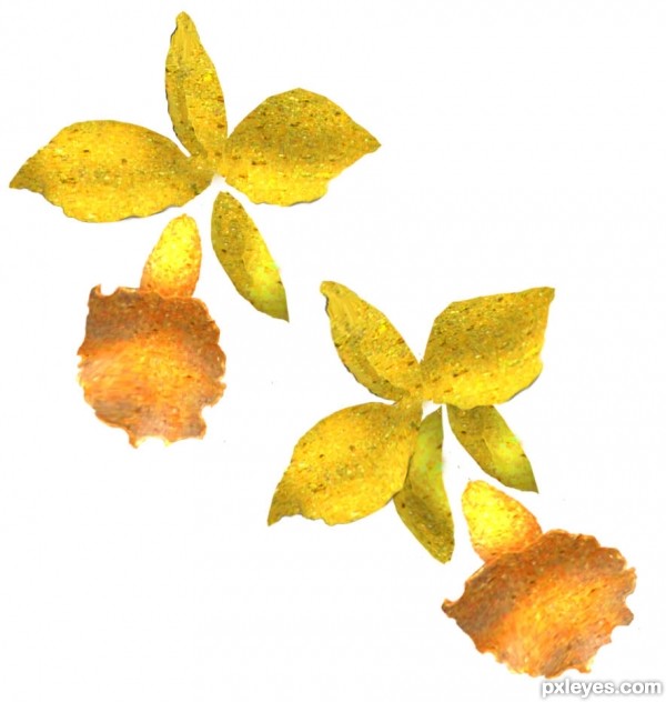 Creation of CAN it be Orchids???: Step 14
