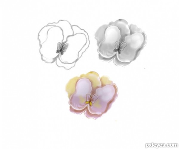 Creation of CAN it be Orchids???: Step 18