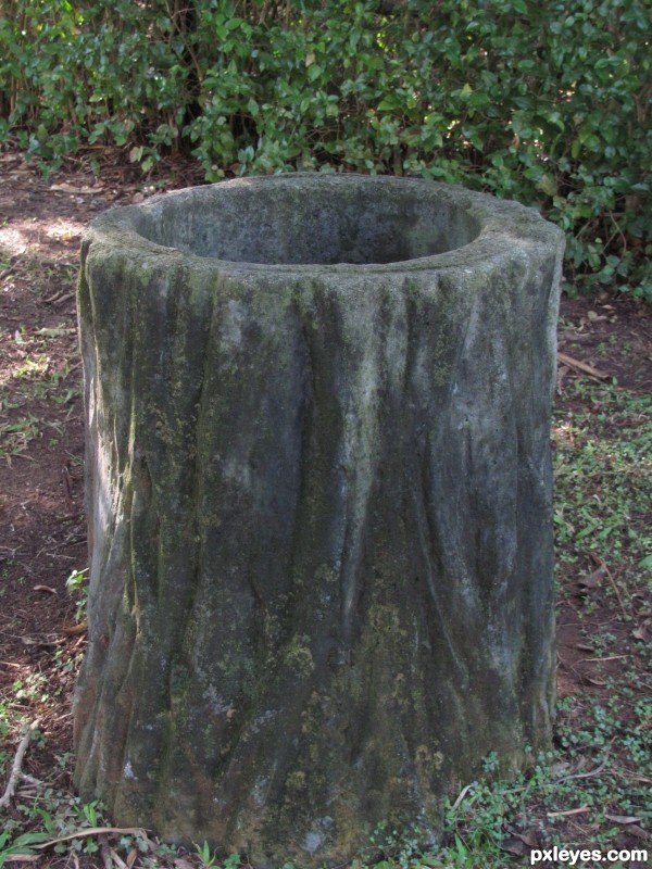 Bin at the local park