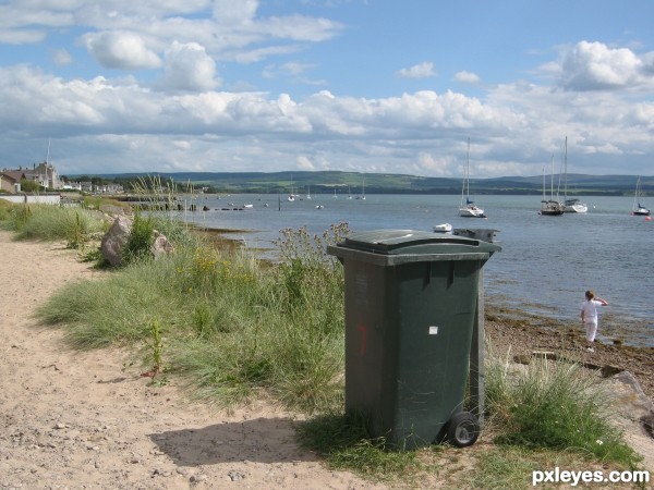 Bin with a View