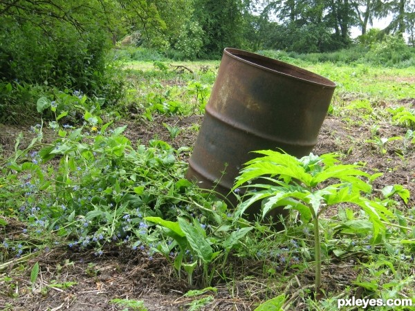 Garden Bin