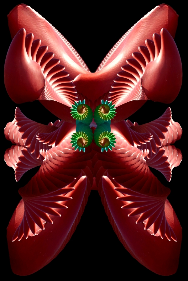Creation of Wild Orchid: Step 9