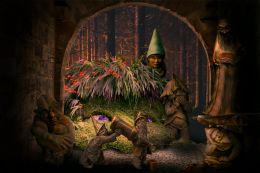The story teller