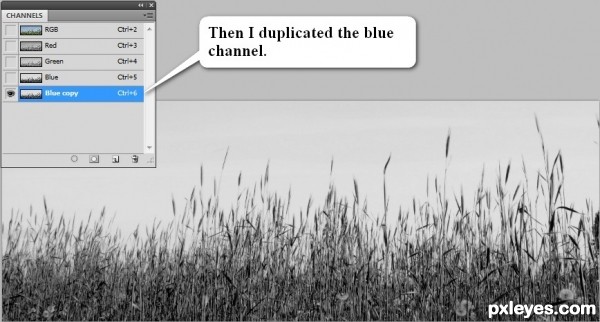 Creation of Quietness: Step 2