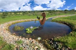 artificialpond