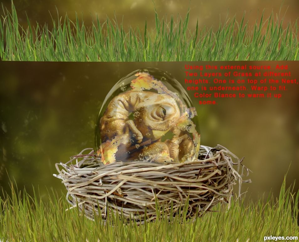 Creation of Baby Dinosaur in an Egg: Step 12