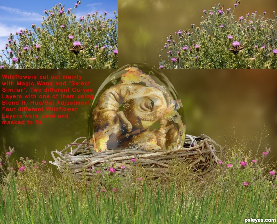 Creation of Baby Dinosaur in an Egg: Step 16