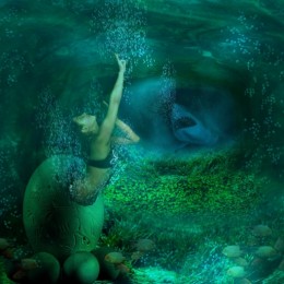 born mermaid Picture