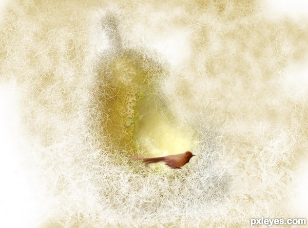 Creation of nameless: Step 2
