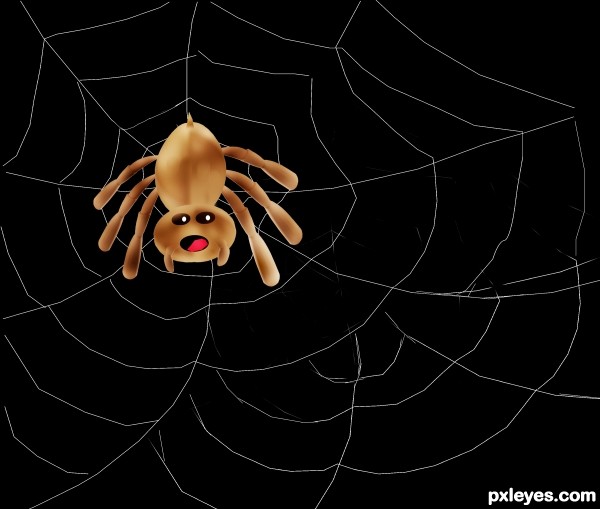 Creation of Spider Web: Final Result