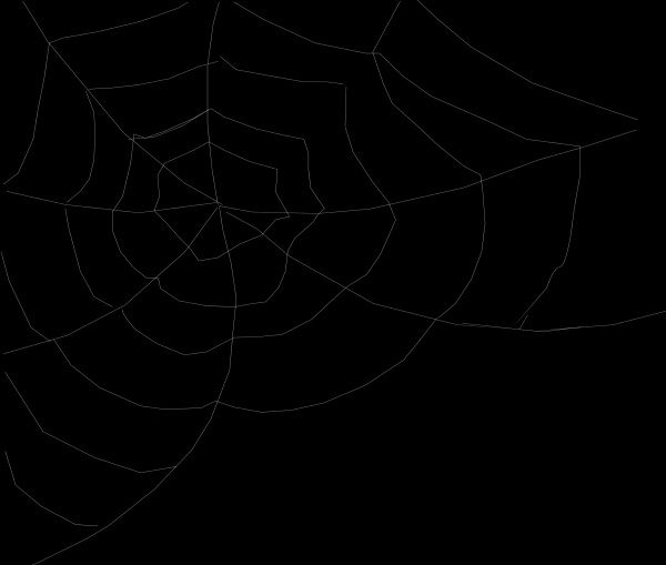 Creation of Spider Web: Step 4
