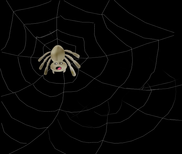 Creation of Spider Web: Step 5