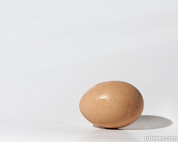 Condescending Egg