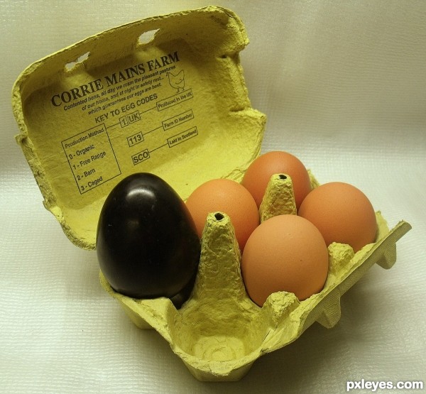 eggstrordinary
