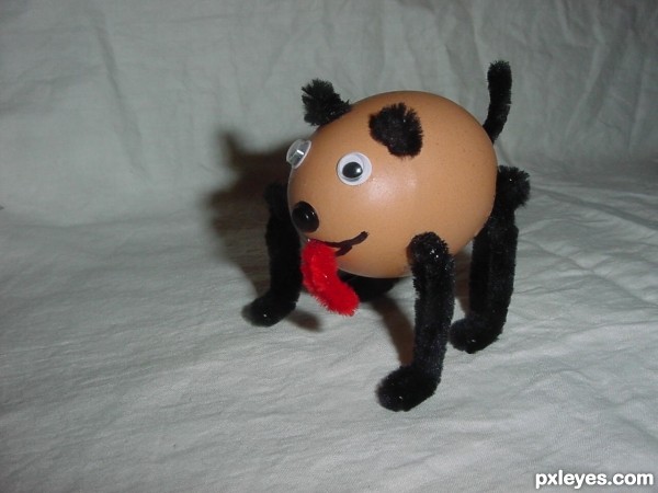 puppy-egg-4d48a5f951c7d.jpg