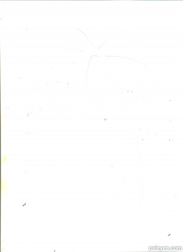 Creation of the palm tree: Step 1