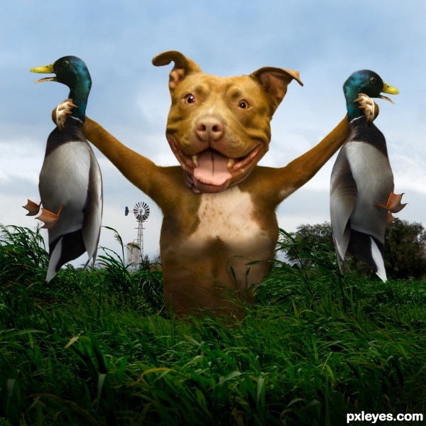 Duck Hunt photoshop picture)