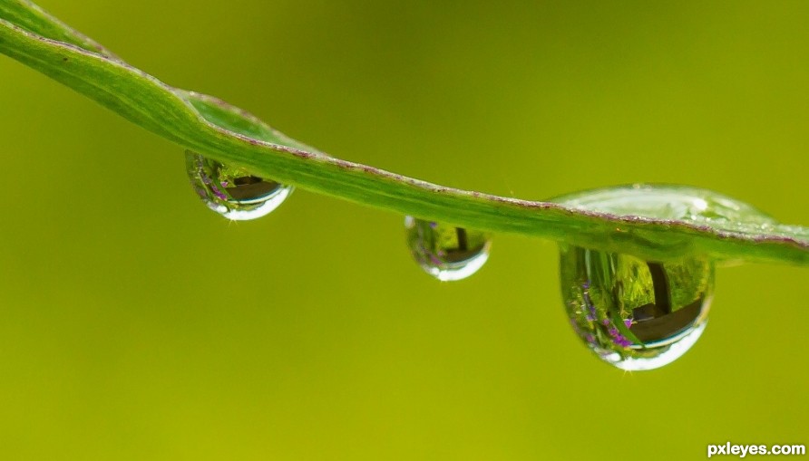 3 water droplets