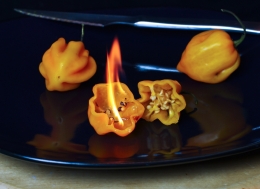 Fiery Habaneros