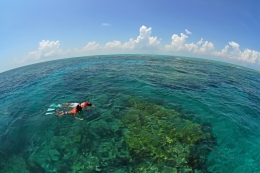 Looe Key Snorkling