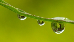 3 water droplets