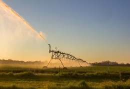 water on a hot day