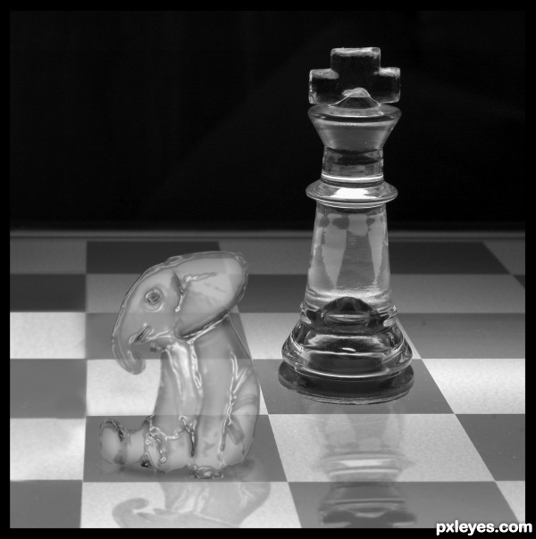chess elephant