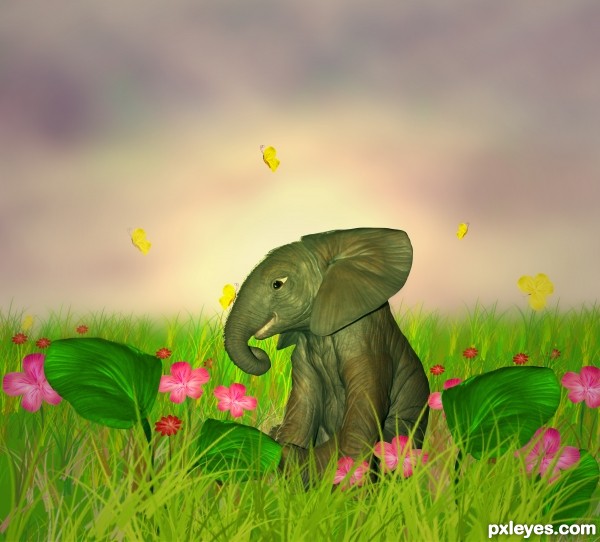 Creation of elephant in garden: Final Result