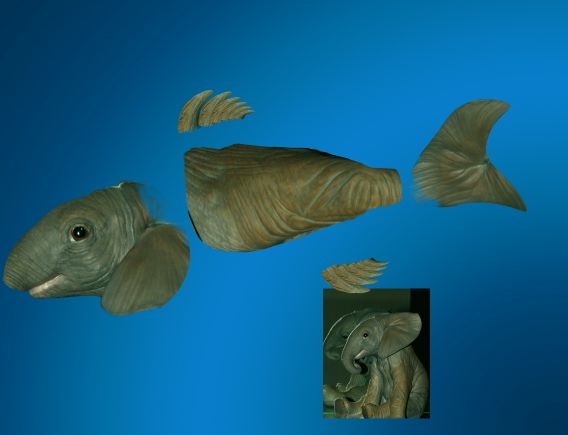 Creation of ElephaFish: Step 1