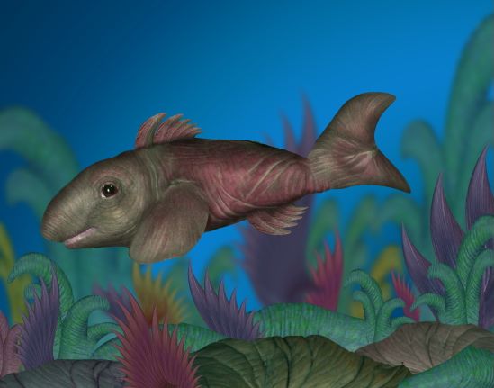 Creation of ElephaFish: Step 5