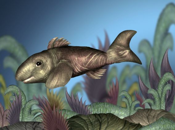 Creation of ElephaFish: Step 6