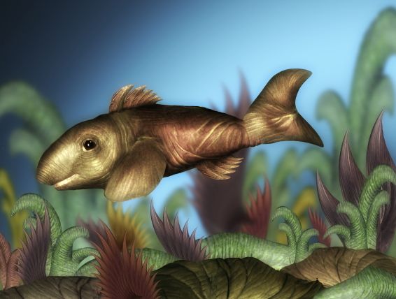 Creation of ElephaFish: Step 7