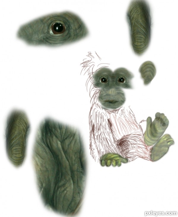 Creation of Monkeys: Step 1