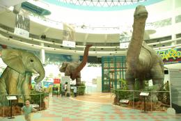 museum giant animals 