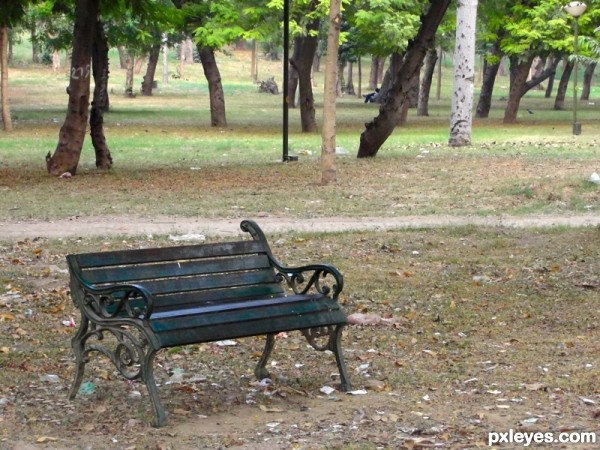 Empty_Bench